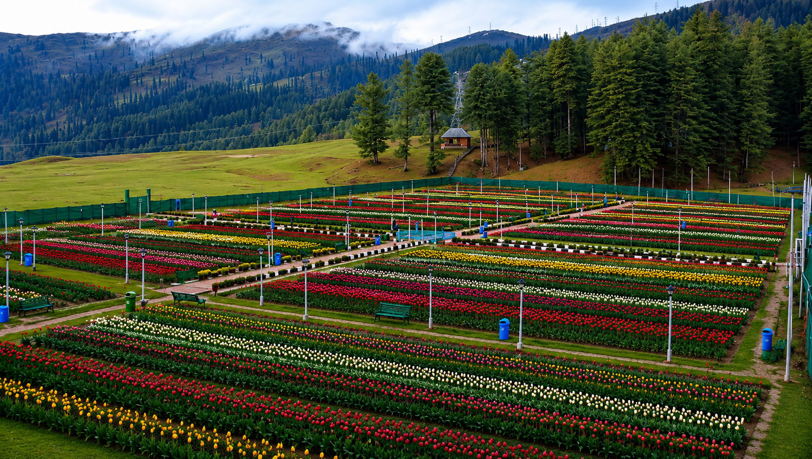 tulip garden sanasar