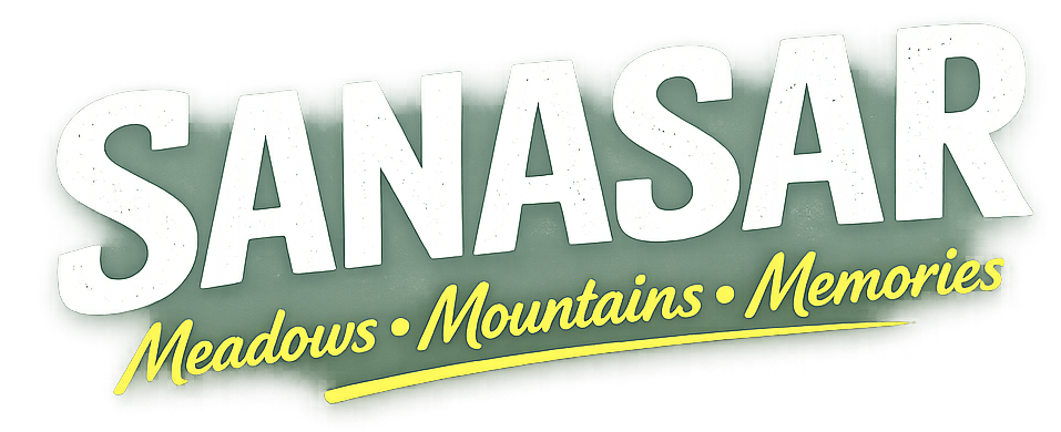 sanasar.in logo